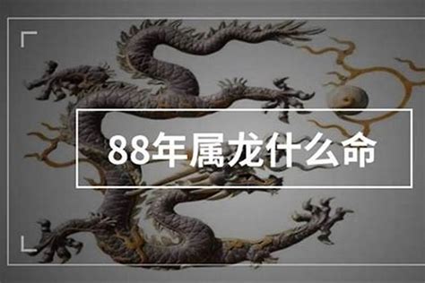 88年是什么龙|1988年属龙是什么命，88年出生五行属什么